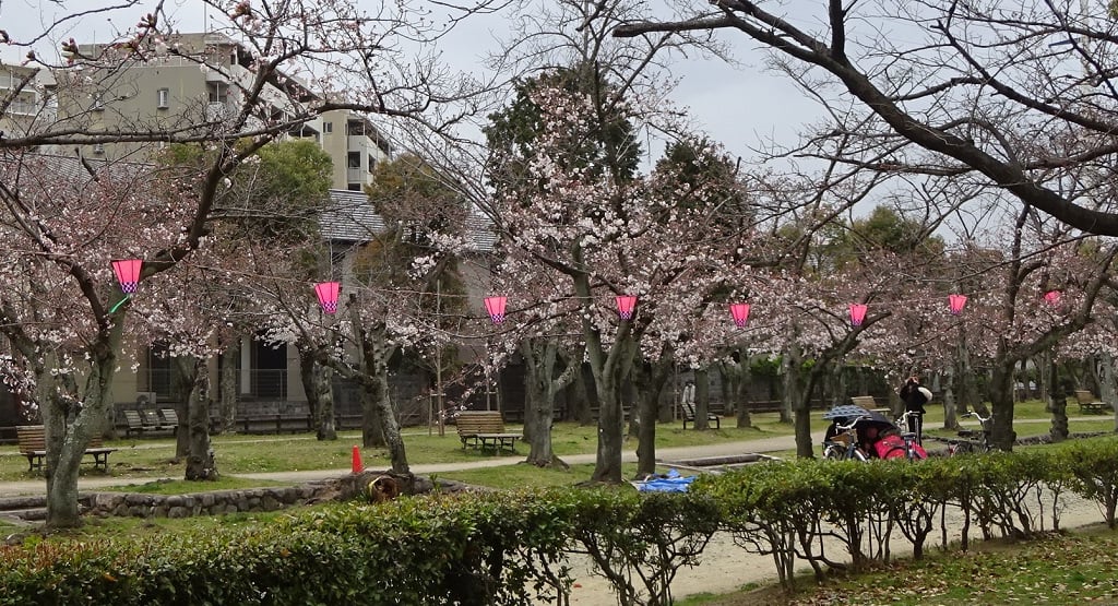 2019西武庫公園桜まつり