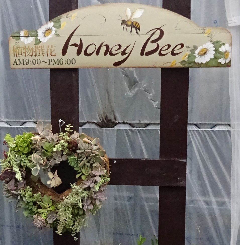 伊丹市 植物撰花 Honeybee ハニービー 多肉植物が充実 秋から冬にかけて品ぞろえが充実していきます 号外net 伊丹市