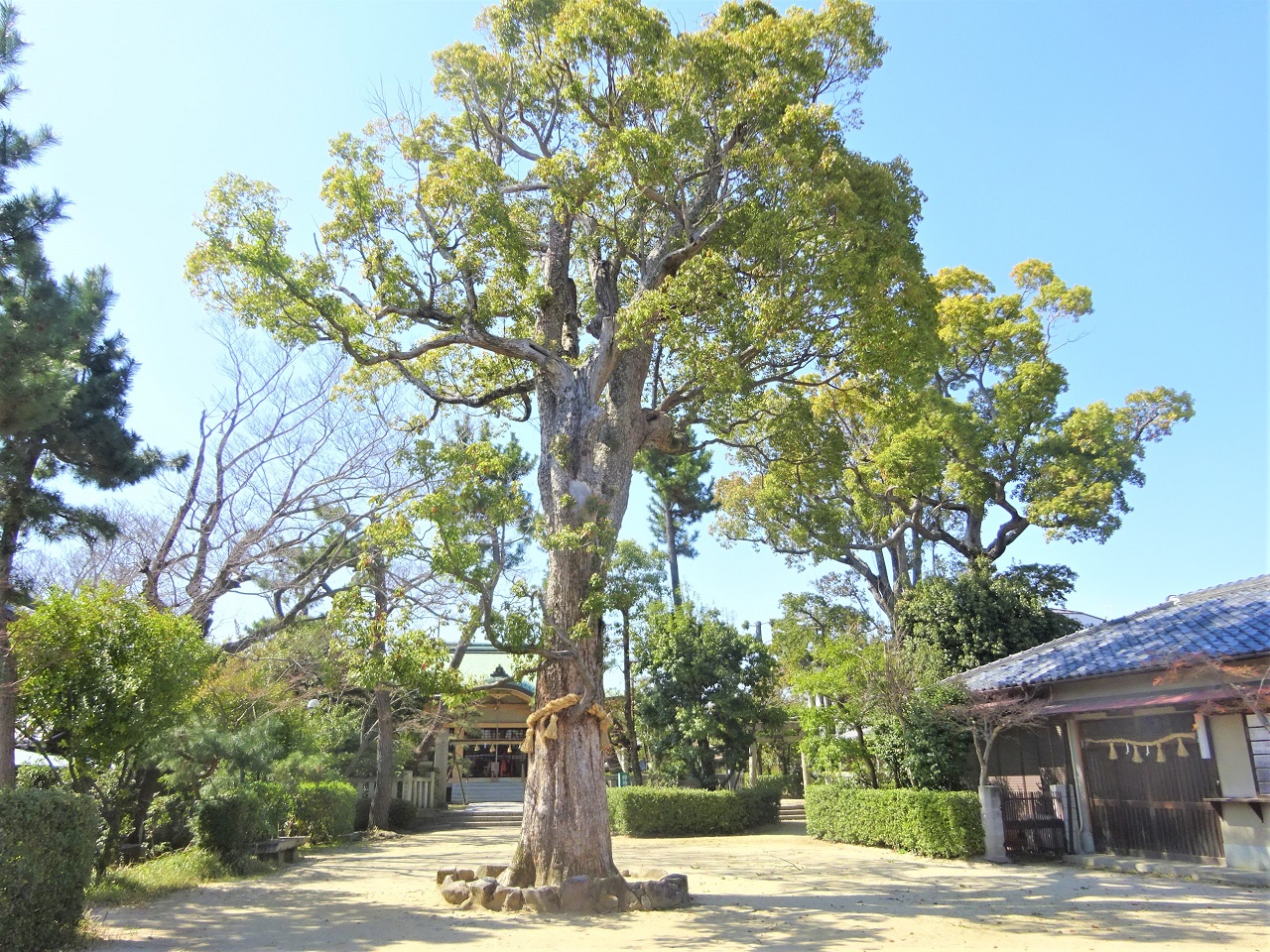 須佐男神社
