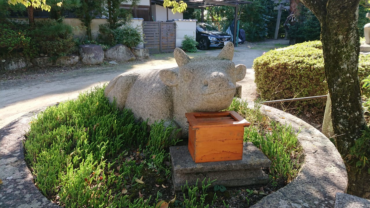 臂岡天満宮の牛