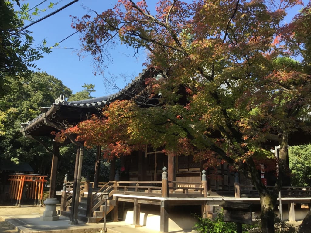 昆陽寺_紅葉2