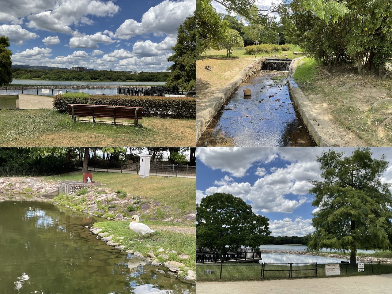 昆陽池公園