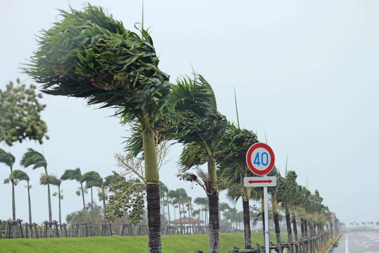 台風10号 イメージ画像