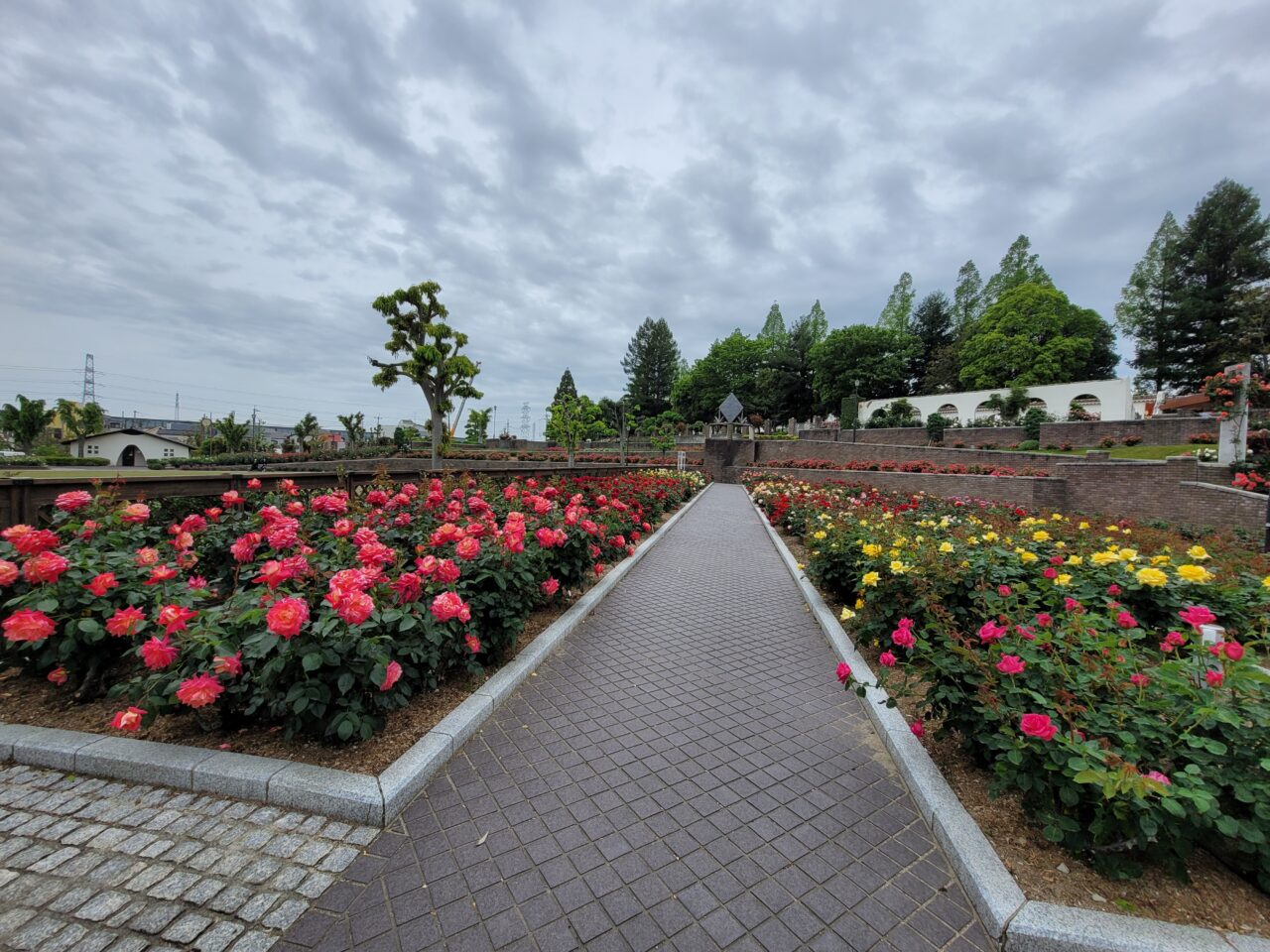 バラ公園