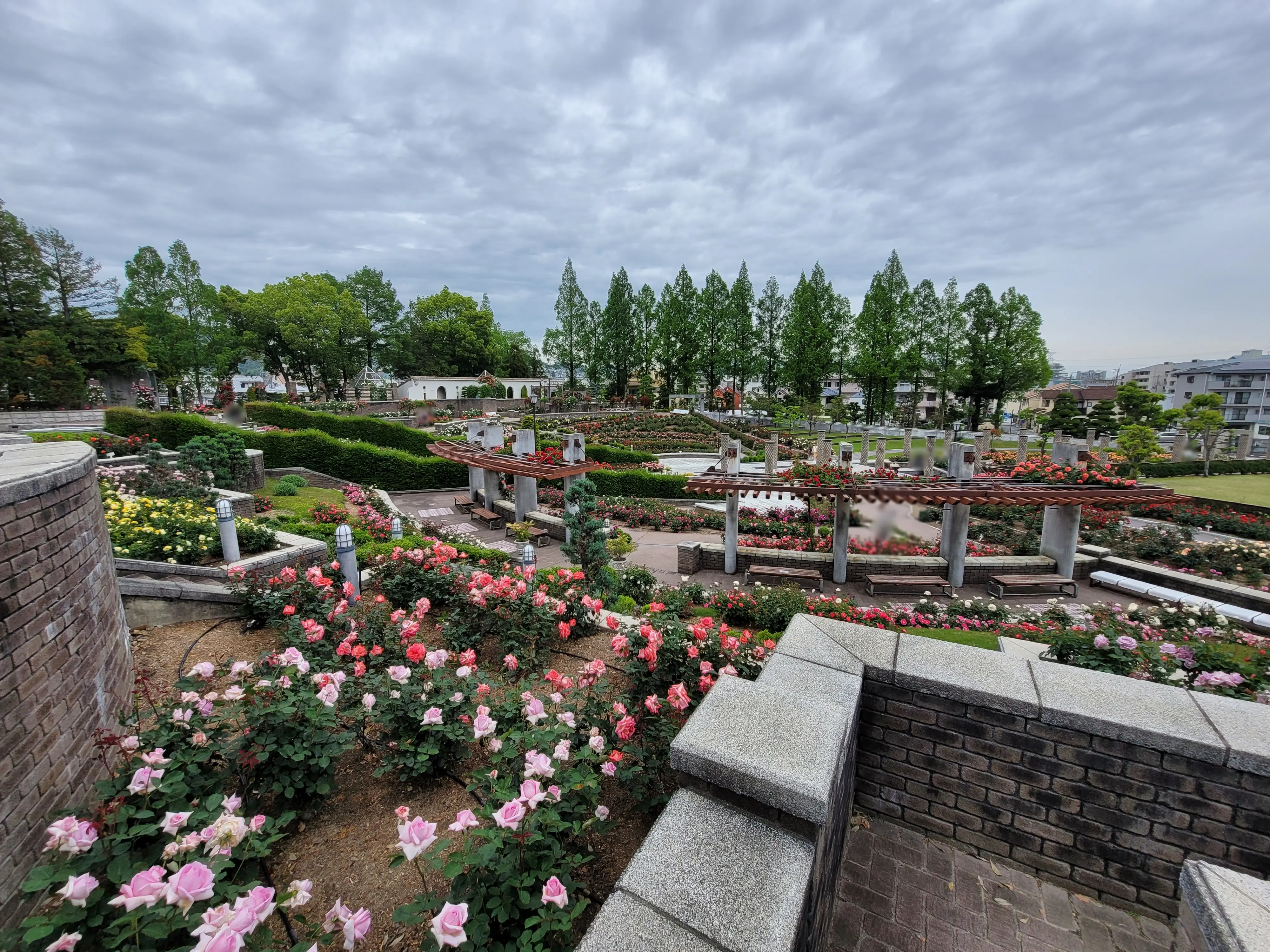 バラ公園