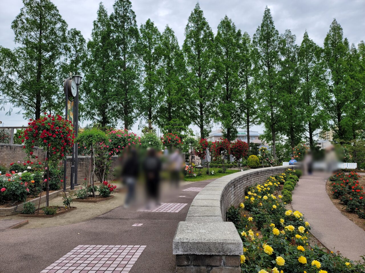 バラ公園