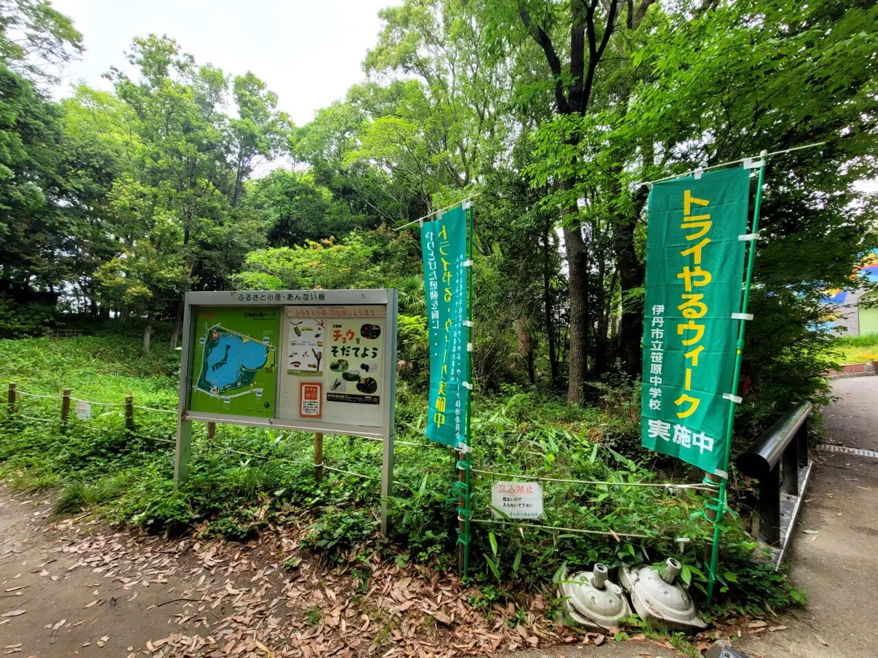 昆虫館