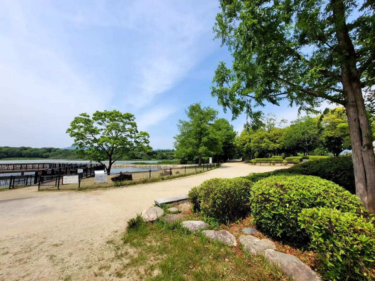 昆陽池公園