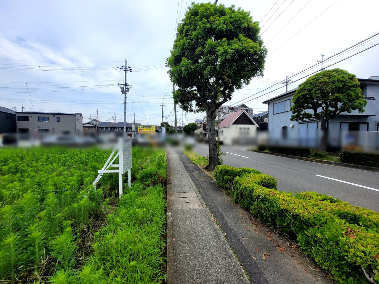 サンディ伊丹野間