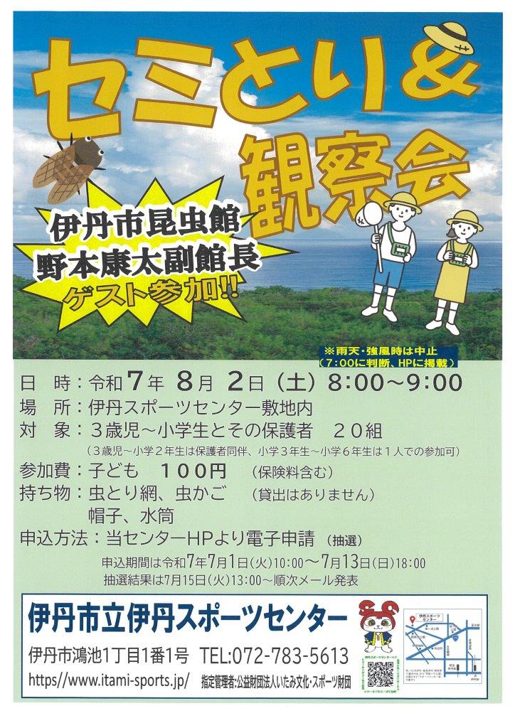 セミとり＆観察会