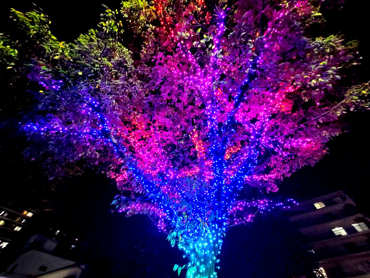 イタミヲテラス