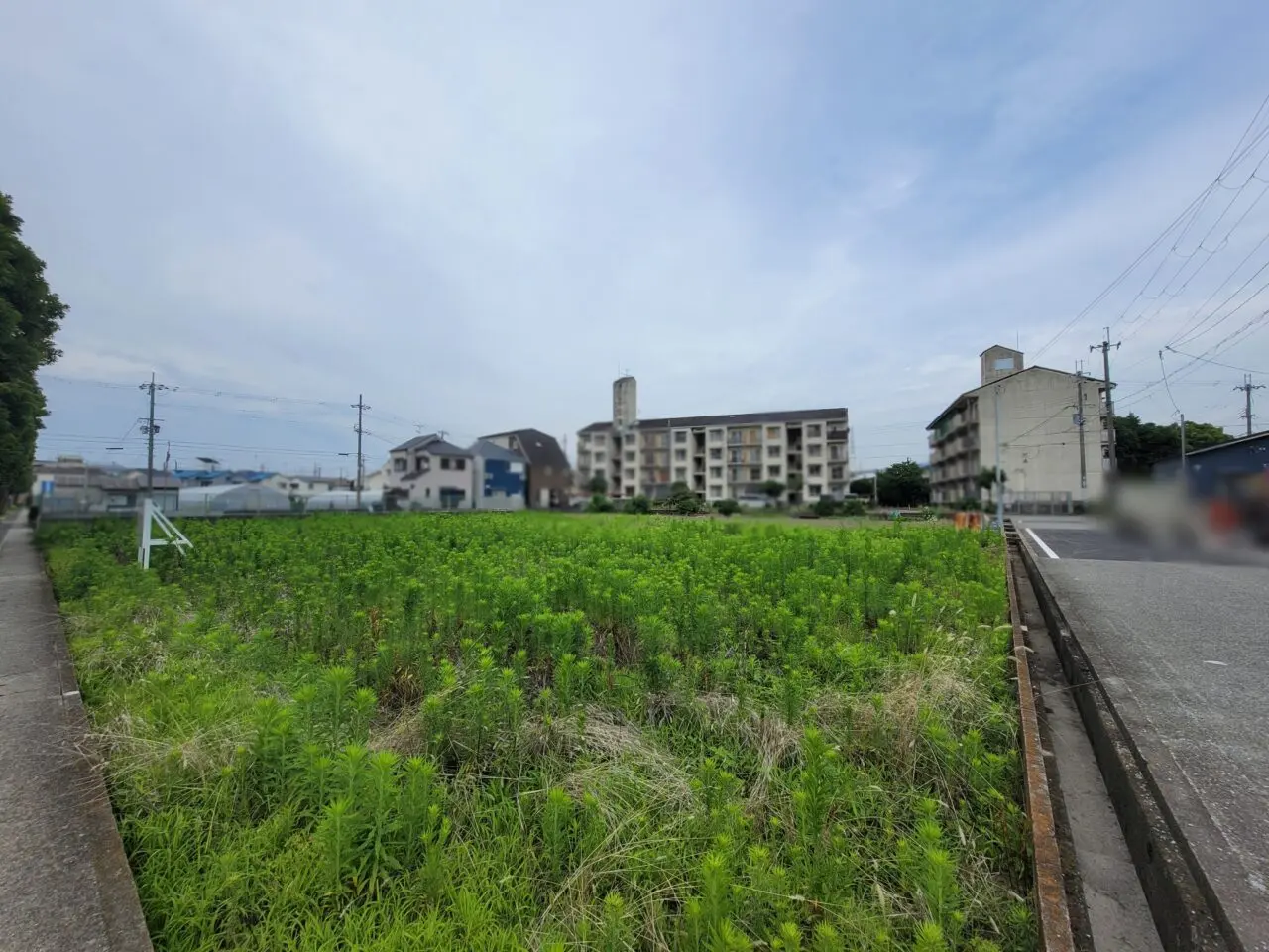 サンディ伊丹野間