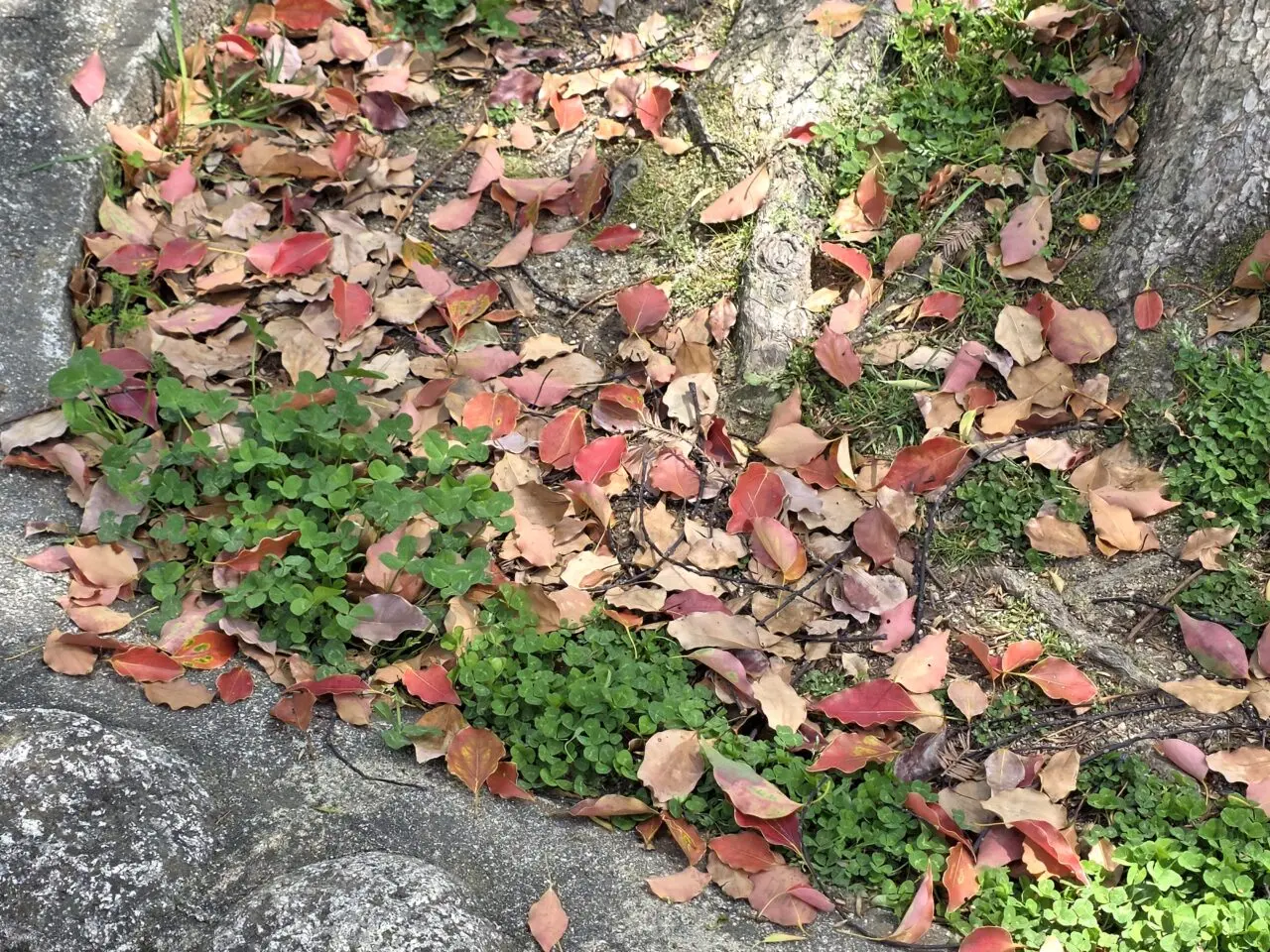 伊丹スポーツセンター