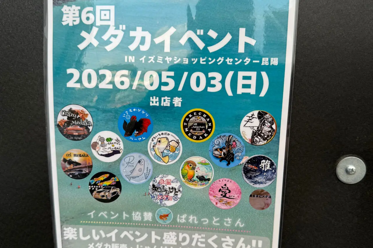 メダカイベント