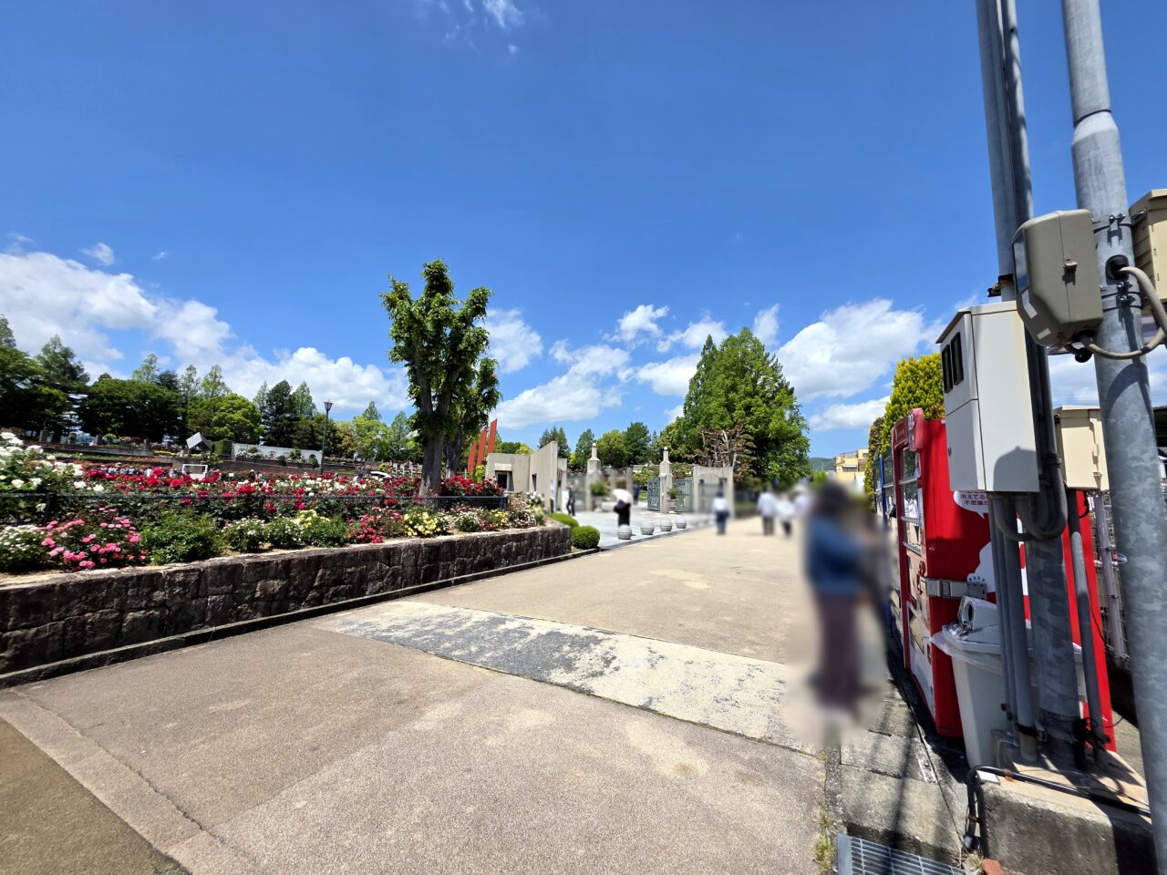 荒牧バラ公園