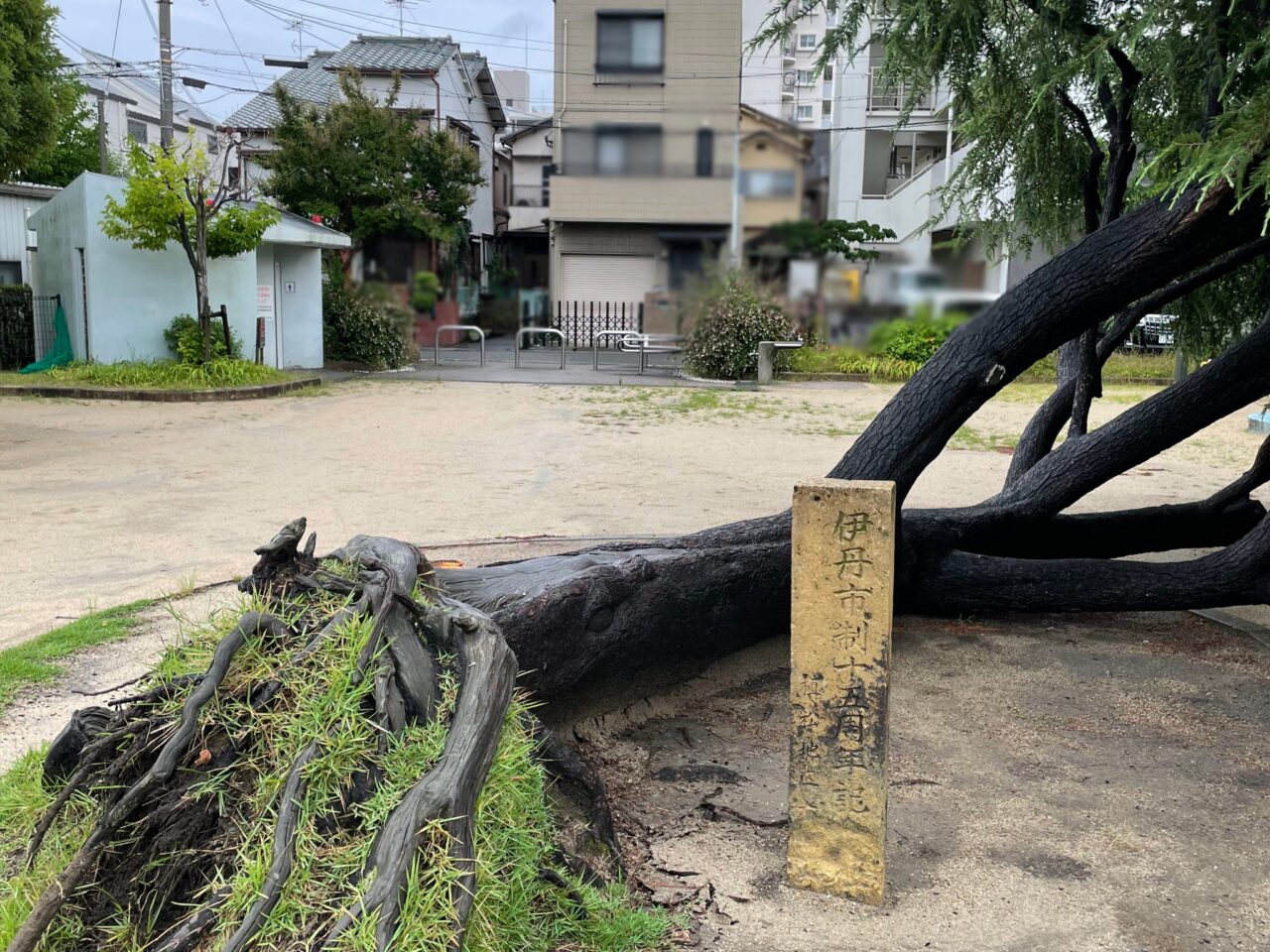 南本町公園