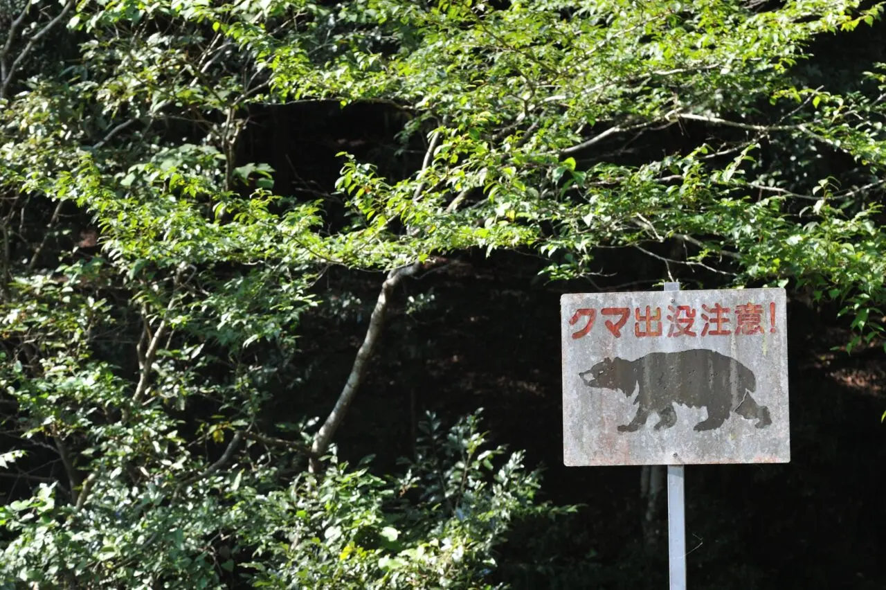 イメージ画像